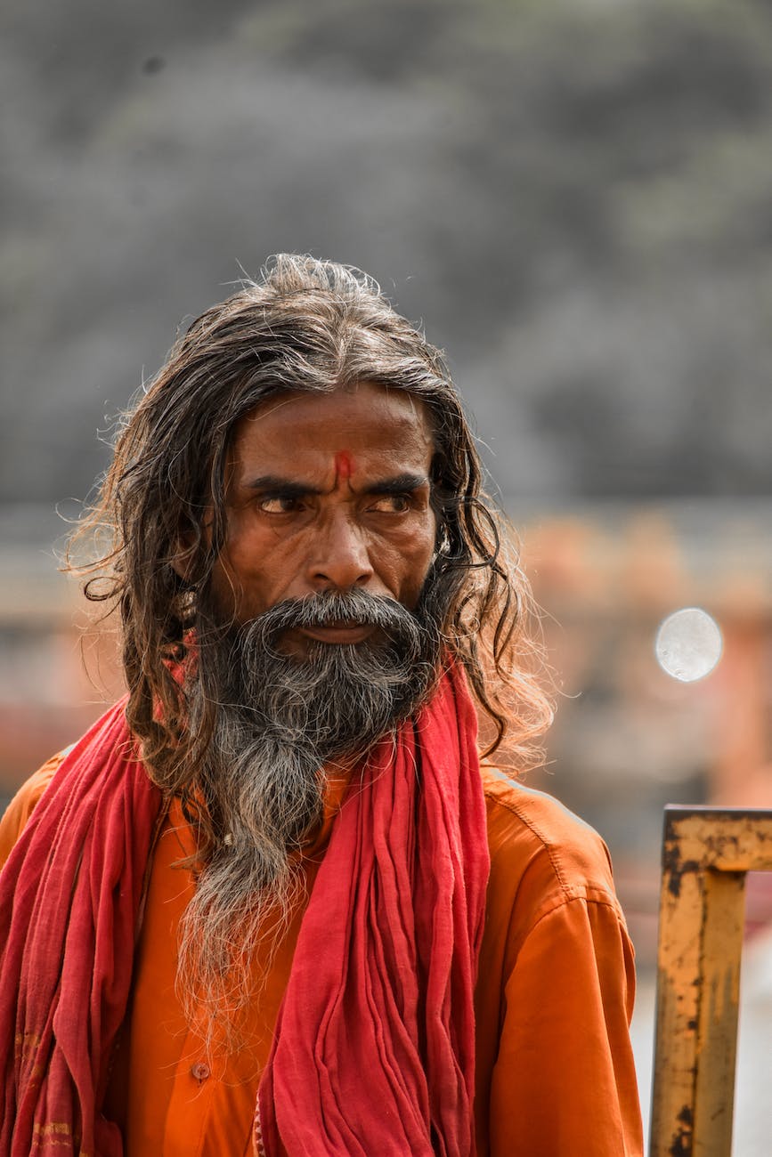 portrait of a bearded sadhu